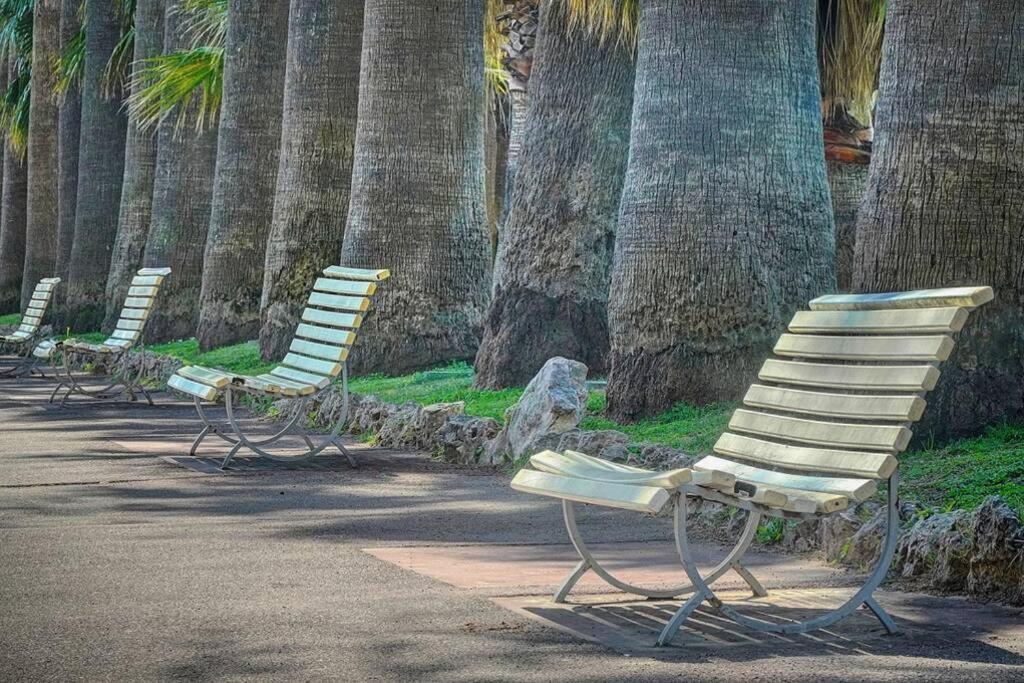 Le Palm - 100M Plage - Croisette - Verriere Cote D'Azur Apartment คานส์ ภายนอก รูปภาพ